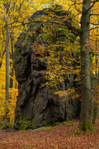 Europe, Germany, Hesse, Siegbach, Lahn-Dill-Bergland Nature Park, Autumn at the Wilhelmsteinen Europe, Germany, Hesse, Siegbach, Lahn-Dill-Bergland Nature Park, Autumn at the Wilhelmsteinen